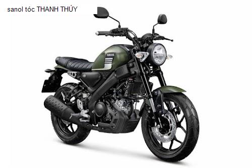 Hình ảnh sanol tóc THANH THÚY